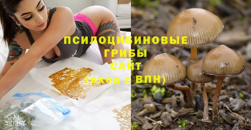 Галлюциногенные грибы MAGIC MUSHROOMS  цена   Минусинск 